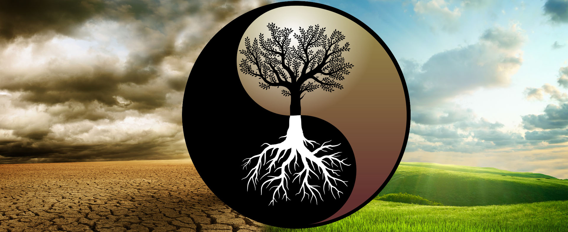 The Yin and Yang of Climate Change: Treating the Roots of the Crisis